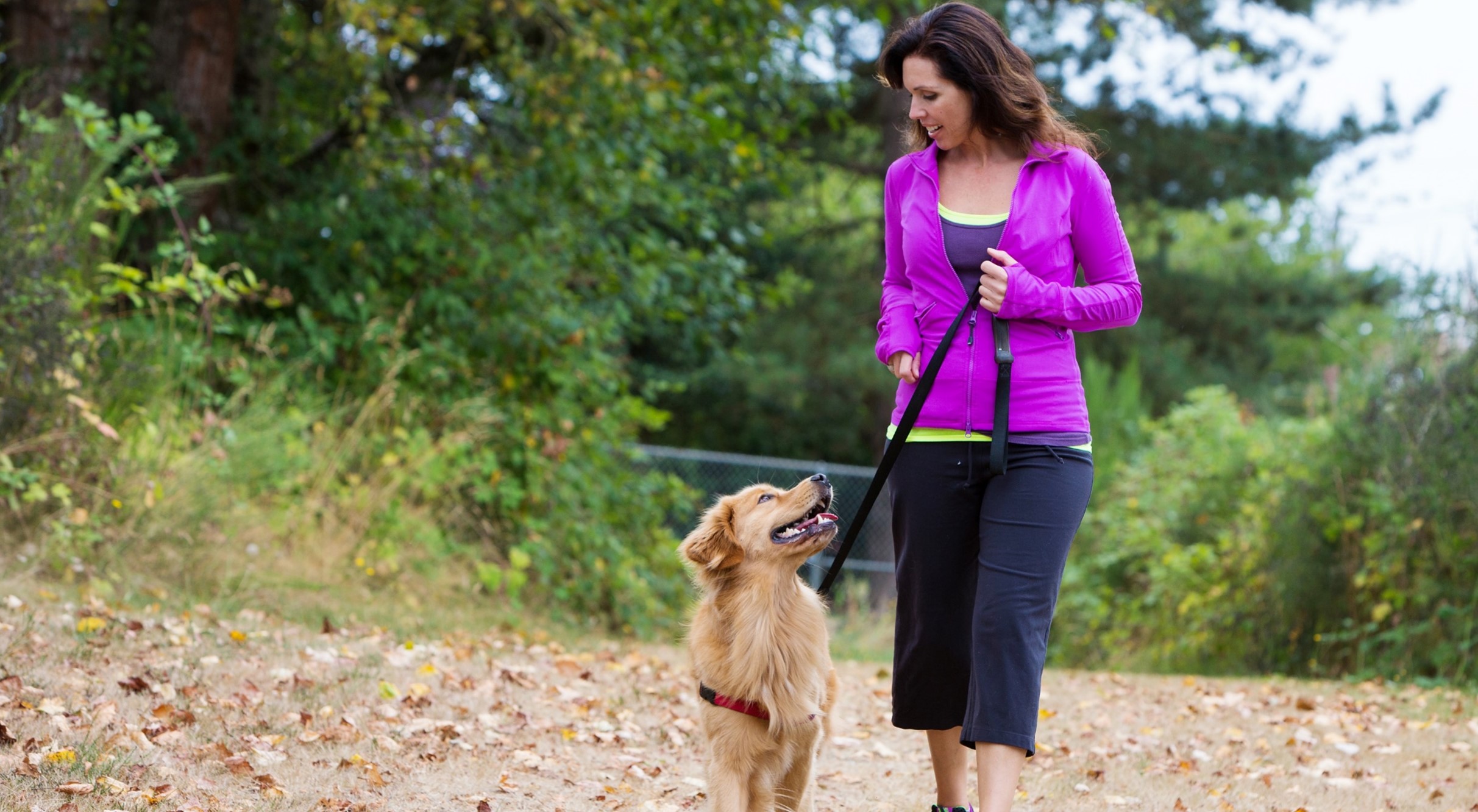 Hundetraining bei My Dog Ranch