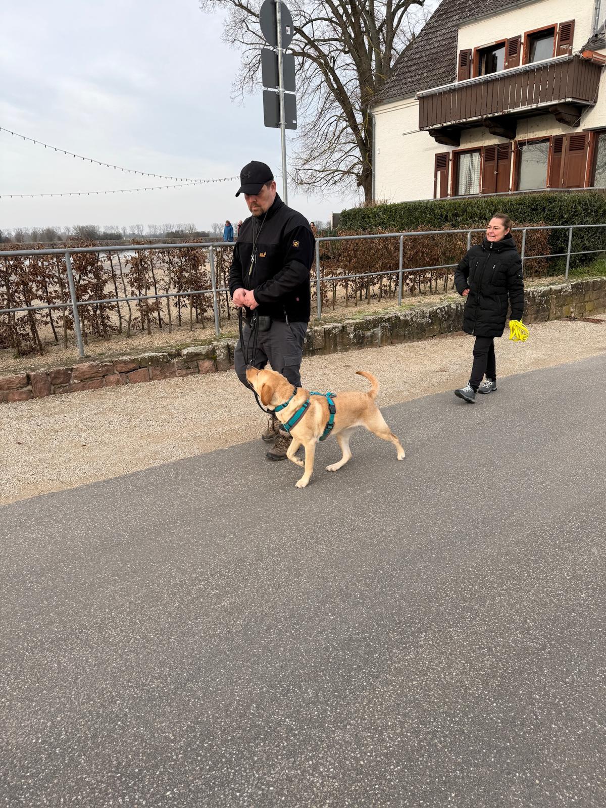 Kombikurs bei My Dog Ranch